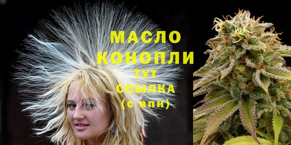 мдпв Верхний Тагил