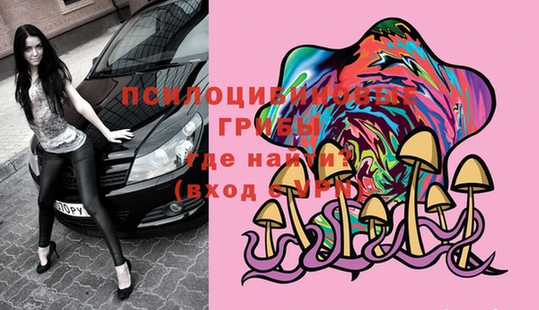 прущие крисы Верея
