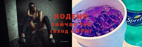 мдпв Верхний Тагил