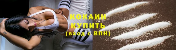 прущие крисы Верея