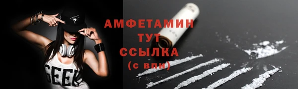мдпв Верхний Тагил