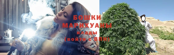 прущие крисы Верея