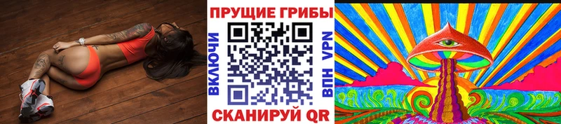 Купить закладки  Химки  Псилоцибиновые грибы MAGIC MUSHROOMS 